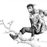 Yamato Sensei Tree Jump